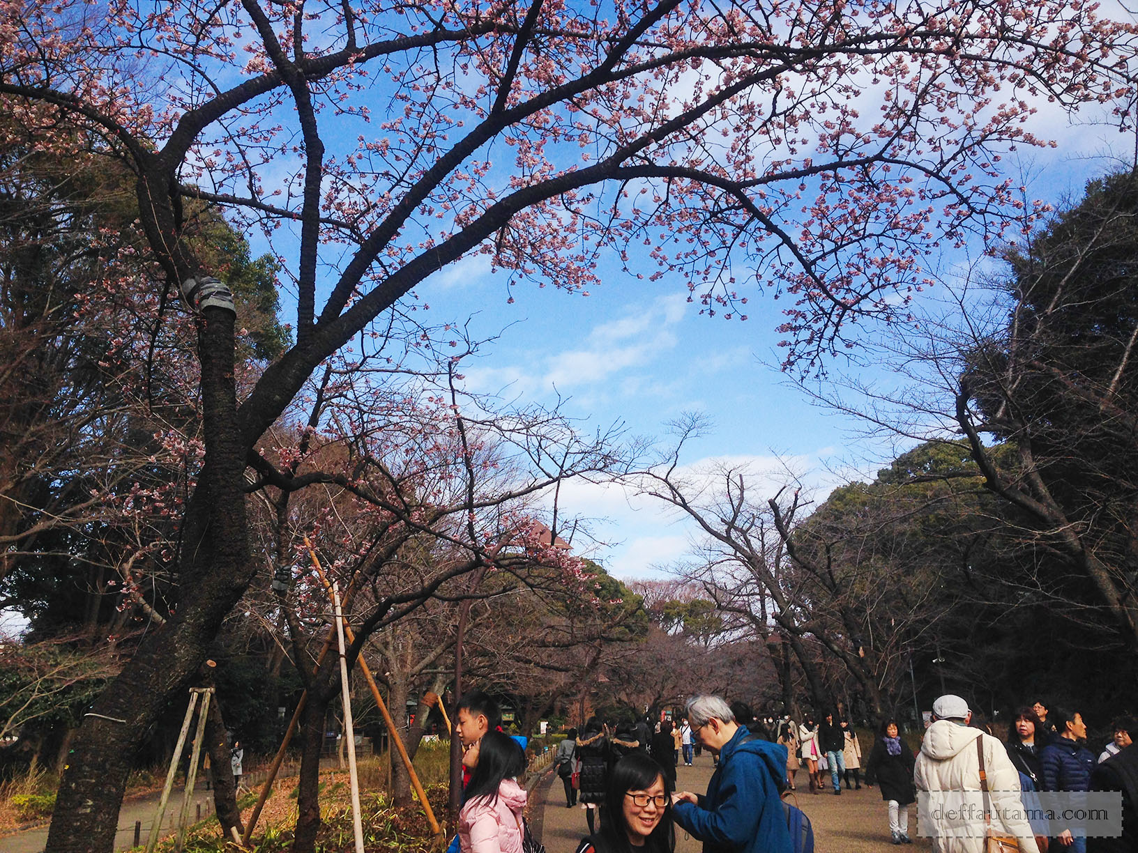 Babymoon ke Jepang - Ueno Park